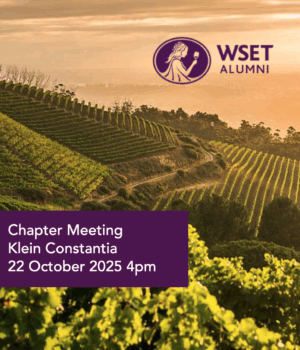 DipWSET Alumni Africa Chapter Meet